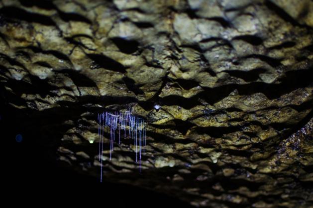 Jeskyně Waipu