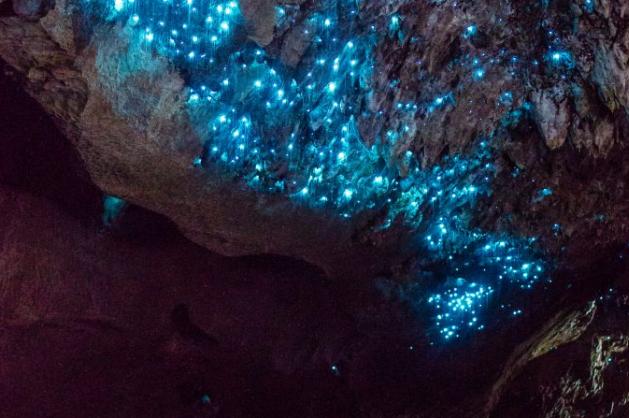 Novozélandská jeskyně Waitomo
