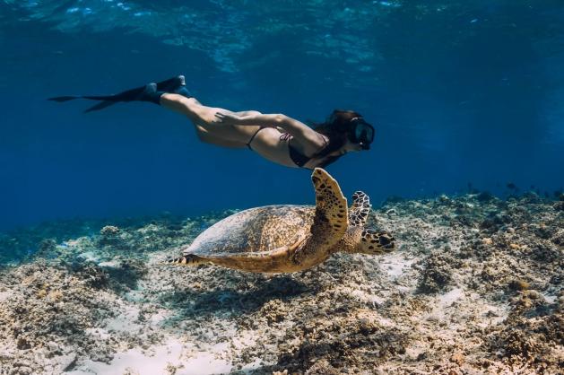 Žena potápějící se s želvou