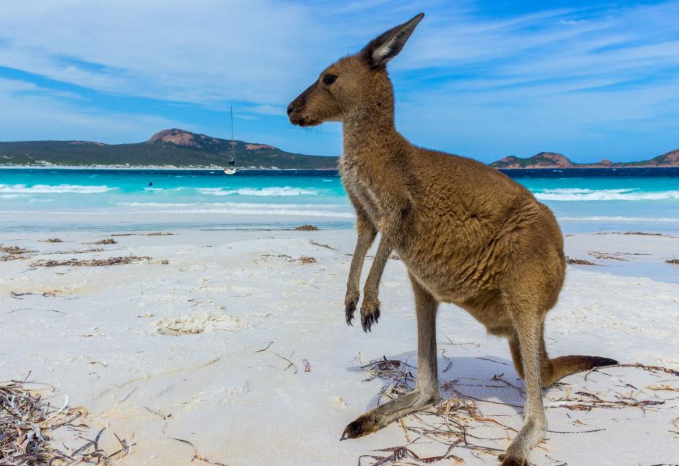 Nejkrásnější pláže Austrálie