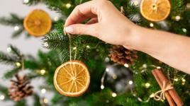 Jak využít vánoční stromek doma i po Vánocích?