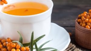 Zázrak jménem rakytník: Citroník severu, který vás ochrání před nemocemi