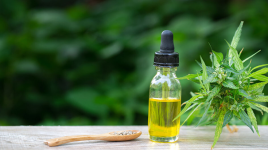 5 nejlepších aromaterapeutických bylin, které můžete vapovat (bazalka, eukalyptus a další)