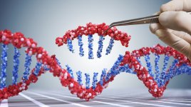 Pomocí genetického inženýrství lze trvale snížit hladinu "špatného" cholesterolu