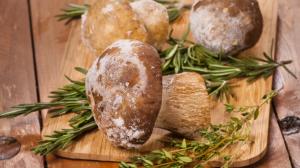 Jak správně zamrazit houby: Poduste je a do mrazáku uložte maximálně na půl roku