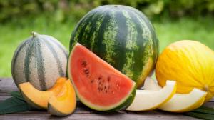 Sezóna melounů je tady: Jaký vybrat druh a jak poznat zralý a sladký kus?