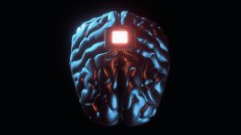 Neuralink může začít klinické testování svých mozkových implantátů