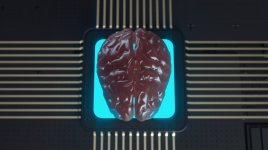 FDA povolilo Neuralinku klinické testování mozkových implantátů