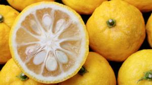 Yuzu: Hořký citrus, který povýší i obyčejnou limonádu na božské pití. Zkuste ho!