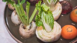 Pěstování ze zbytků: Regrowing je nový trend, který šetří (nejen) peníze