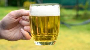 Co se stane, když se zkříží pivo a auto? Vznikne PITO, legenda mezi nealko pivy