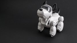 Vývoj robopsů: Je budoucnost robotiky v domácích mazlíčcích na baterky?