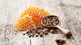 Propolis: tvůj nový hrdina, který ti pomůže v boji proti nachlazení a oparům