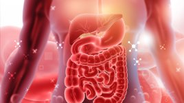 Chytrá pilulka od Caltechu dokáže číst signály ze střev v reálném čase