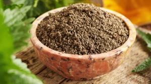 Kopřivová semínka: Nasbírejte si elixír proti únavě, stresu a vyčerpání. Teď je jejich čas!