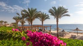 Last Minute Egypt – jak ušetřit a získat cenově dostupný zájezd k moři?
