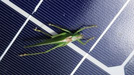 Vědci prolomili hranici solární energie. Výsledek překvapil i skeptiky