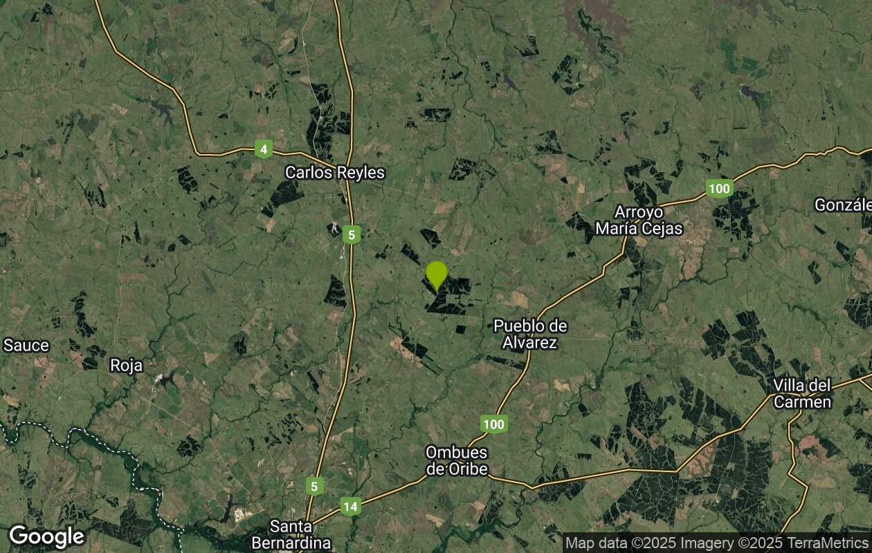 mapka