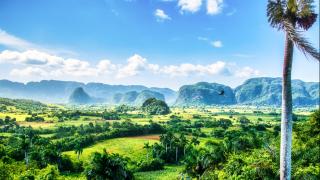 kam za teplem v lednu