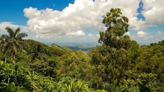 Sierra del Escambray