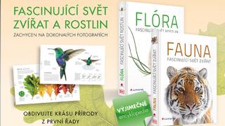 Fauna a flóra