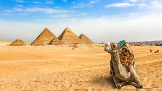 Pyramidy a velbloud v Egyptě