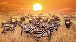 nejhezčí národní parky Afriky