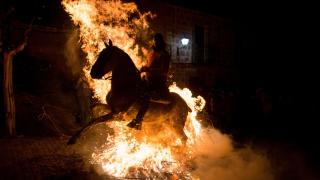 Koně skákající před oheň.