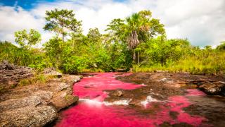 cano cristales úvodní