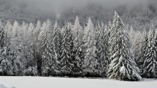 Nezapomeňte si sjednat cestovní pojištění PR