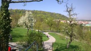 Petřín z parku Sacré Coeur - Cestovinky.cz