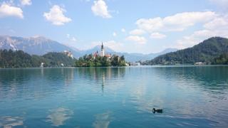 jezero Bled - Cestovinky.cz