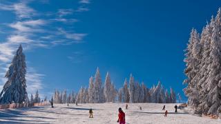ski areál Lipno - Cestovinky.cz
