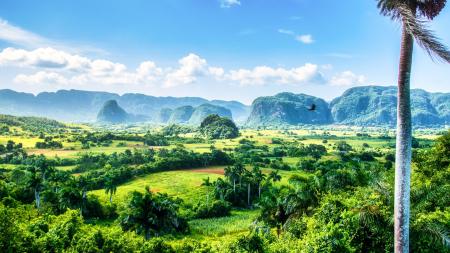 kam za teplem v lednu