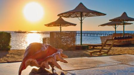 Večerka v 21 hodin? Egypt zavádí nová pravidla, která děsí cestovatele. Úplně zbytečně!