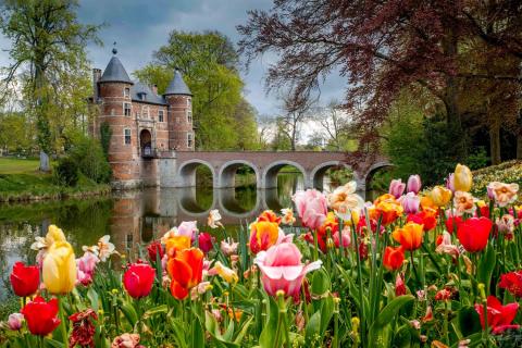 TOP 5 Belgie