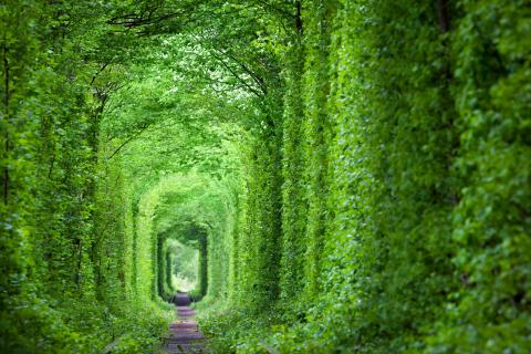 Tunel lásky na Ukrajině - Cestovinky.cz