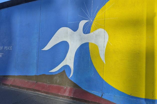 East Side Gallery holubice