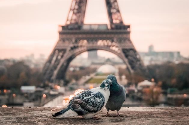 Paříž ve Francii