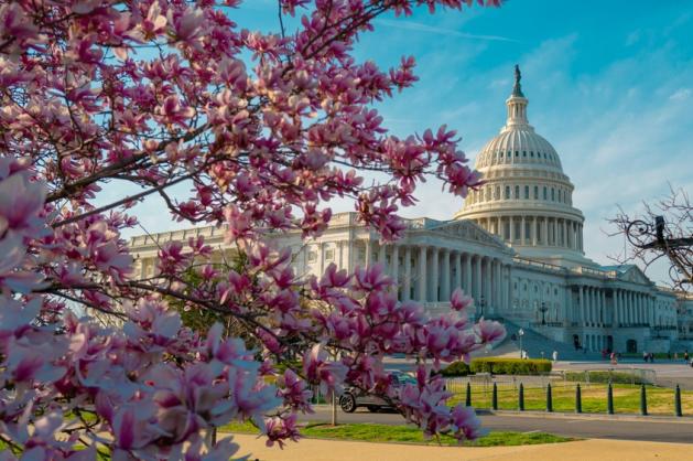 fototest světové metropole 5