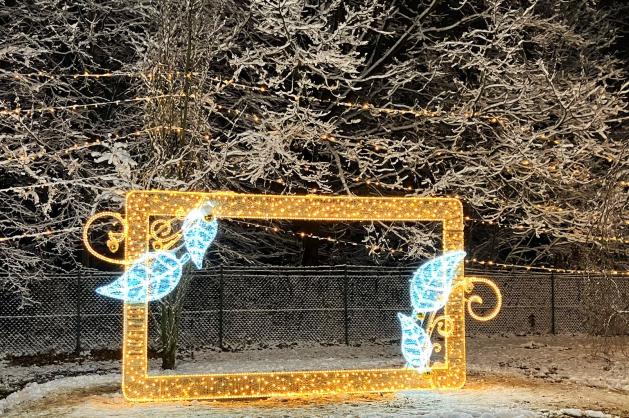 Dekorativní světelný rámeček 