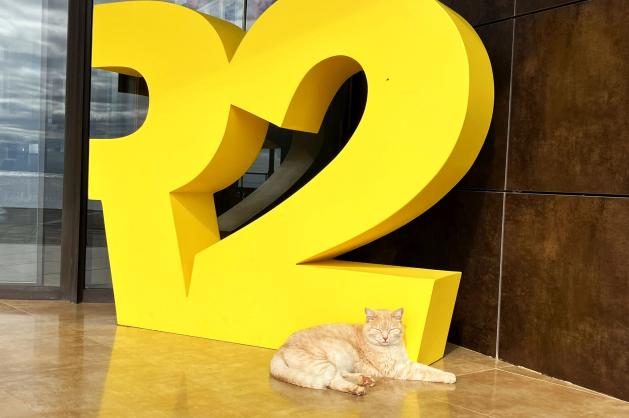 Hotelový maskot u recepce