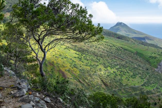Porto Santo – Pico Castelo
