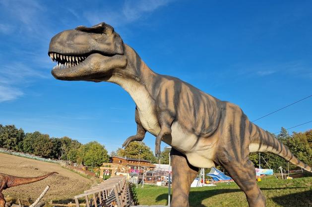 Skalka T-Rex