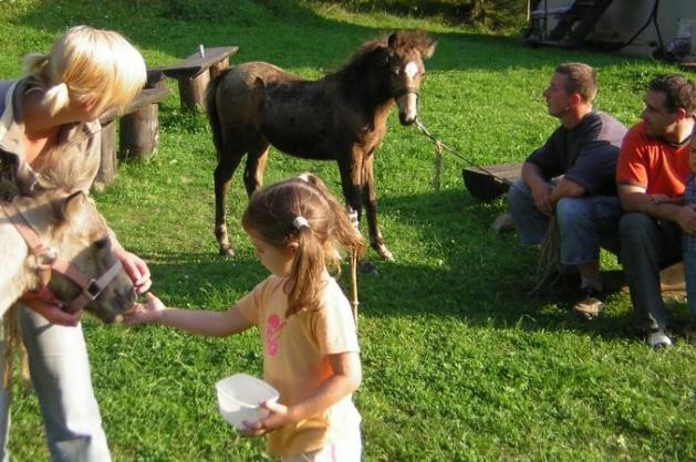 Život na farmě