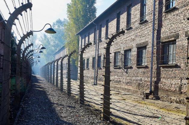 Auschwitz dráty