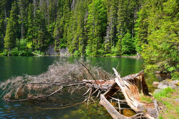 Šumavské jezero