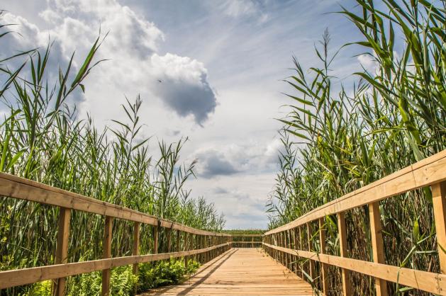 Poleský národní park ve východním Polsku