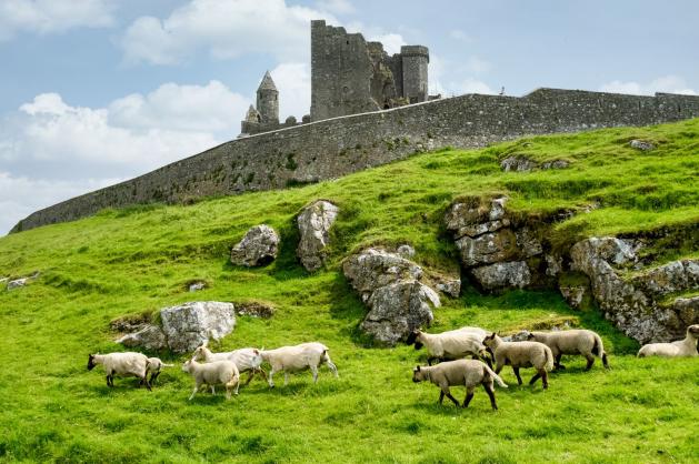 Rock of Cashel Irsko