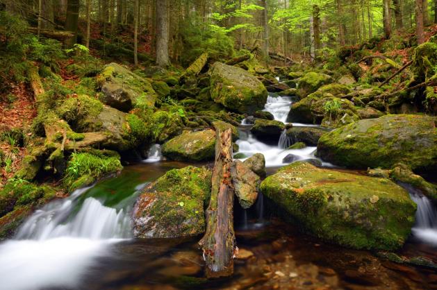 Šumava: největší národní park 